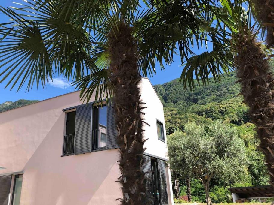 SantʼAntonio Sinergia E Benessere מראה חיצוני תמונה
